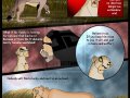 tlk_the_outcast_44_by_savu0211-d3090tb.jpg